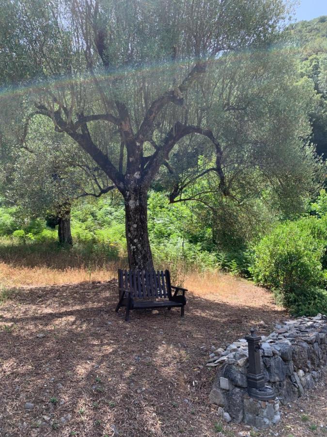 I Suoni Di Valle Martina Poderia Buitenkant foto